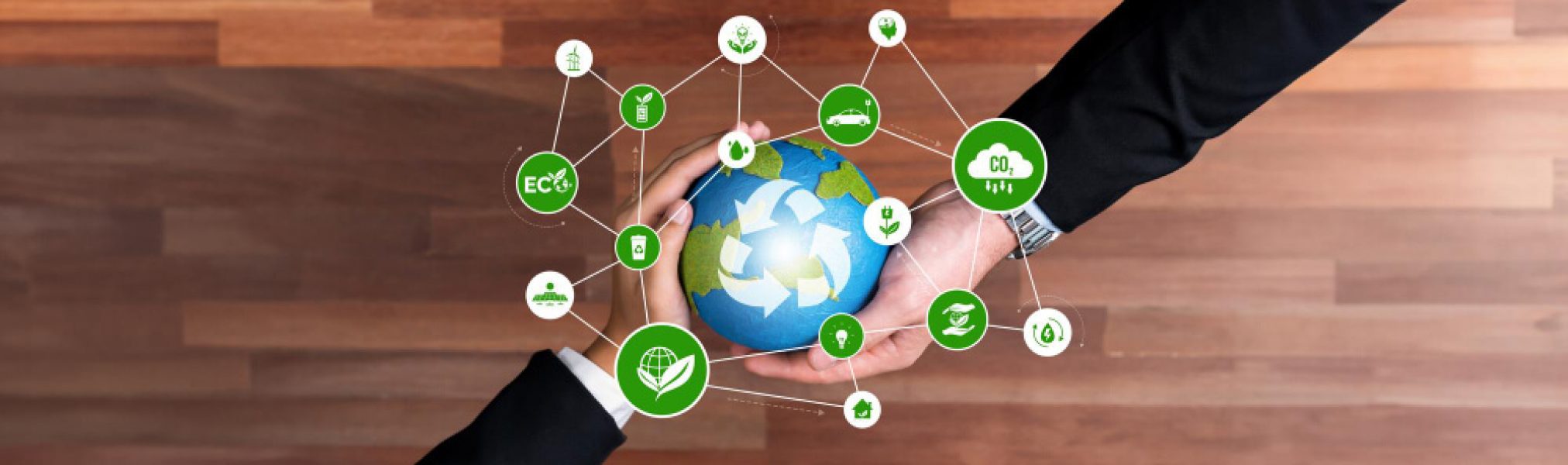 Sostenibilidad en la Cadena de Suministro